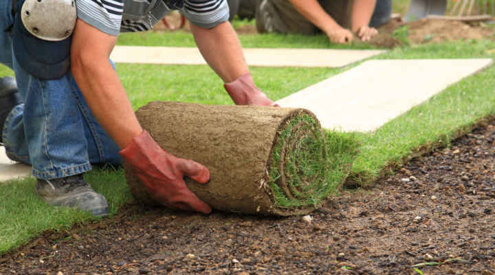 Google Ads para jardineros: campaña de publicidad para captar clientes de jardinería